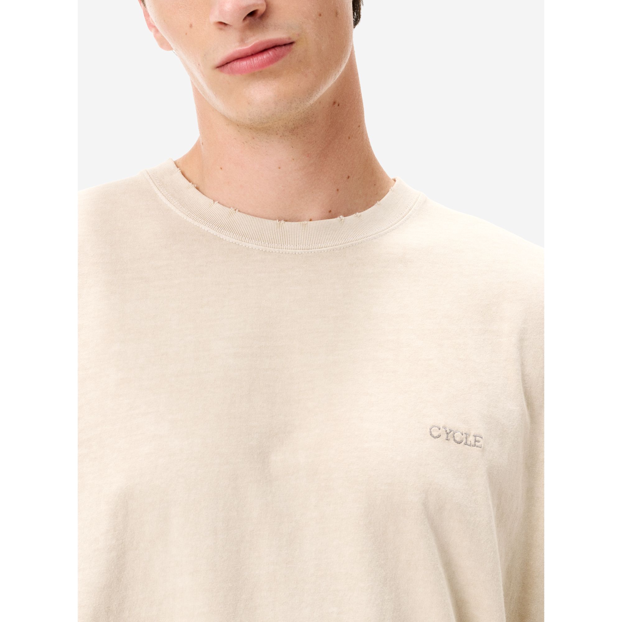 Boxy embroidery regular t-shirt distressed mineral overdyed